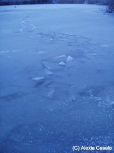 splitered frozen pond